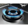 Газова варильна поверхня Electrolux 600 EGS64362XX 59см