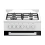 Газоелектрична плита Beko FSS52020DW