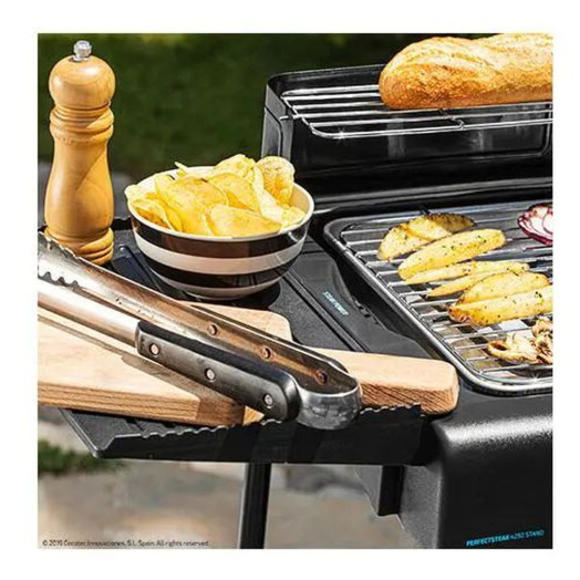 Електричний гриль Cecotec PerfectSteak 4250