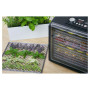 Сушарка для грибів Sencor SFD 6600BK 500W 12 сит