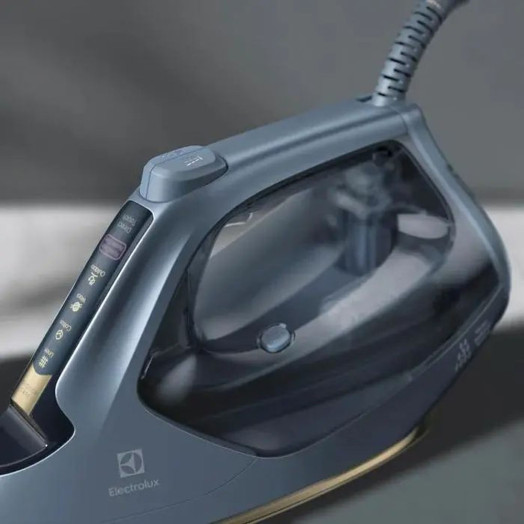 Праска Electrolux E8SI1-6DBM Resilium 240г/хв
