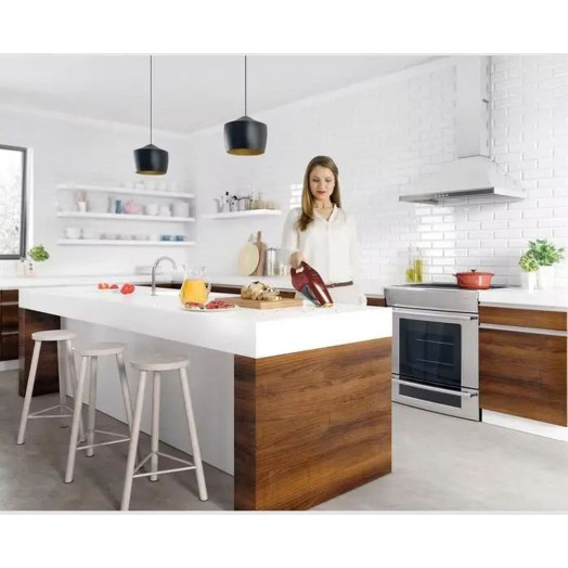 Пилосос Electrolux Rapido ZB6106WR