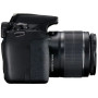 Canon EOS 2000D SLR + EF-S 18-55mm f/3.5-5.6 IS II + LP-E10