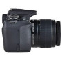 Canon EOS 2000D SLR + EF-S 18-55mm f/3.5-5.6 DC III