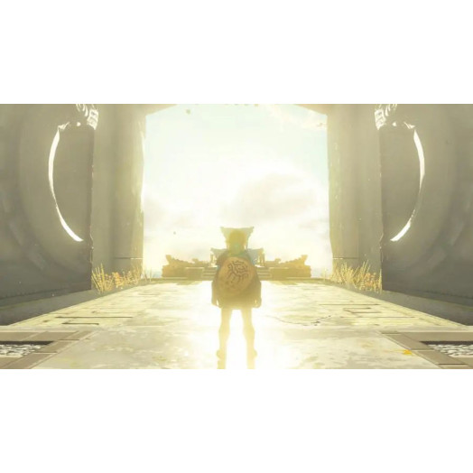 Гра Legend of Zelda Tears of the Kingdom для Nintendo Switch