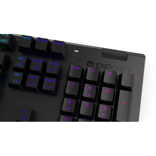 Механічна клавіатура Endorfy Omnis Brown Kailh Brown RGB Black