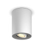 Philips Hue White Ambiance Pillar Spot Light 192775 білий + диммер