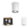 Philips Hue White Ambiance Pillar Spot Light 192775 білий + диммер