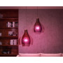 Philips Hue White and Colour Ambiance LED лампа E27 2шт + перемичка