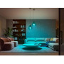 Світлодіодна лампочка Philips Hue White and Color Ambiance E27 1 шт.