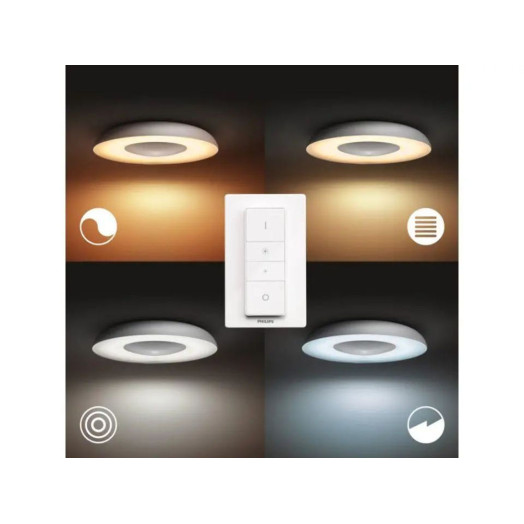 Philips Hue White Ambiance Still 929003055401 Срібний стельовий світильник