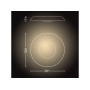 Philips Hue White Ambiance Still 929003055401 Срібний стельовий світильник