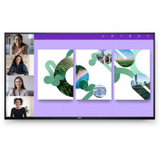 Монітор Dell P5524Q для конференц-залів 55" 4K VA 60 Гц 8 мс