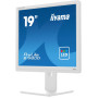 Монітор iiyama ProLite B1980D-W5 19" HD TN 60Hz 5ms