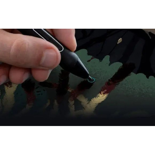 Графічний планшет Huion Kamvas Pro 24 Black