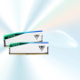 Patriot Viper Elite 5 RGB DDR5 64GB (2 x 32GB) 6200 CL42 білий RAM