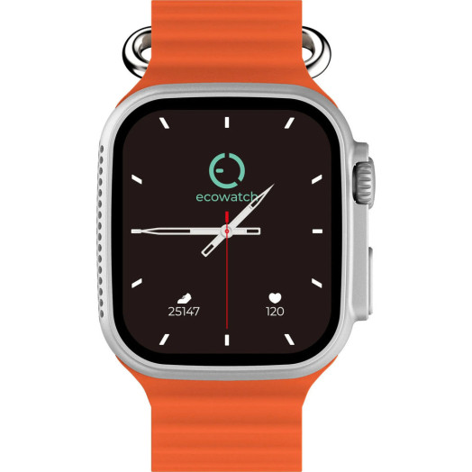 Смарт-годинник Ecowatch 2 Silver