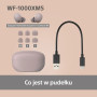 Бездротові навушники Sony WF-1000XM5 ANC In-Ear Bluetooth 5.3 Smoky Pink