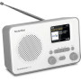TechniSat TechniRadio 6 ІЧ-радіоприймач FM DAB+ Інтернет Bluetooth Біло-сірий