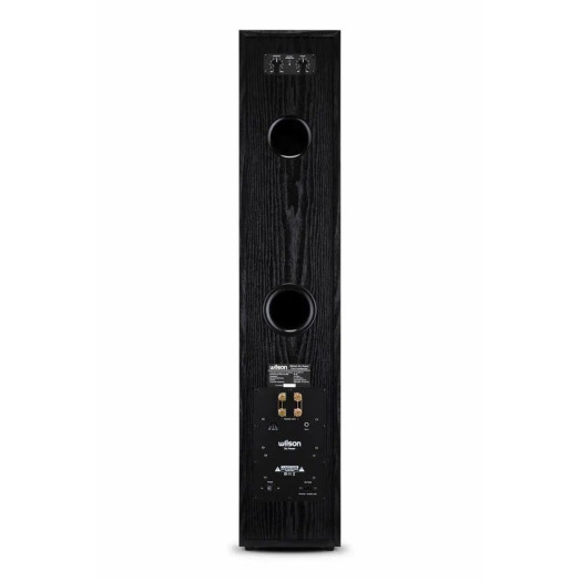 Колонки Wilson Six Power Black 2 шт.