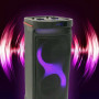 Power Audio Manta SPK5230 80W Bluetooth FM-радіо караоке мікрофон чорний