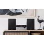 Philips TAM4205/12 60 Вт Bluetooth FM-радіо Чорно-сріблястий